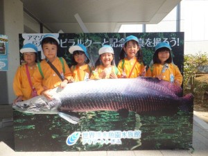 アクアトト岐阜