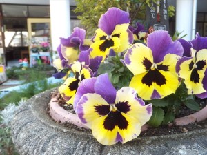 DSCF2891_R